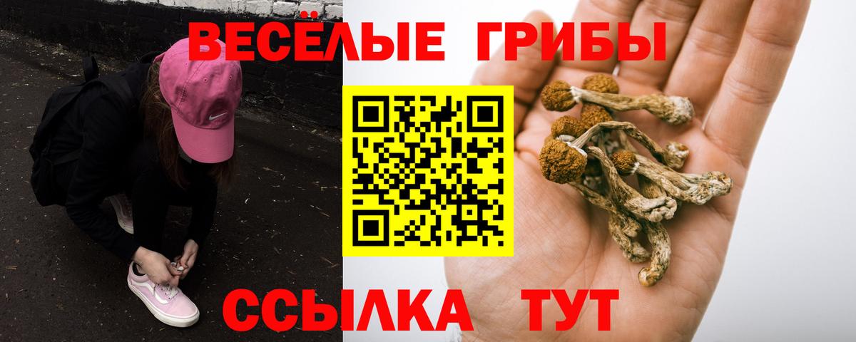 Волоколамск  Псилоцибиновые грибы MAGIC MUSHROOMS  Вход с VPN 